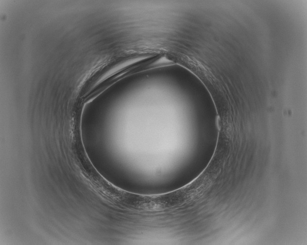 X0000072990735200608041307