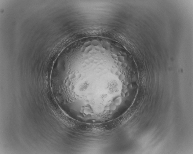 X0000072990737200608041307