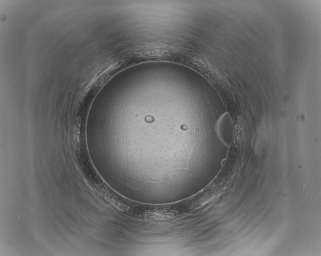 X0000072990739200608041307