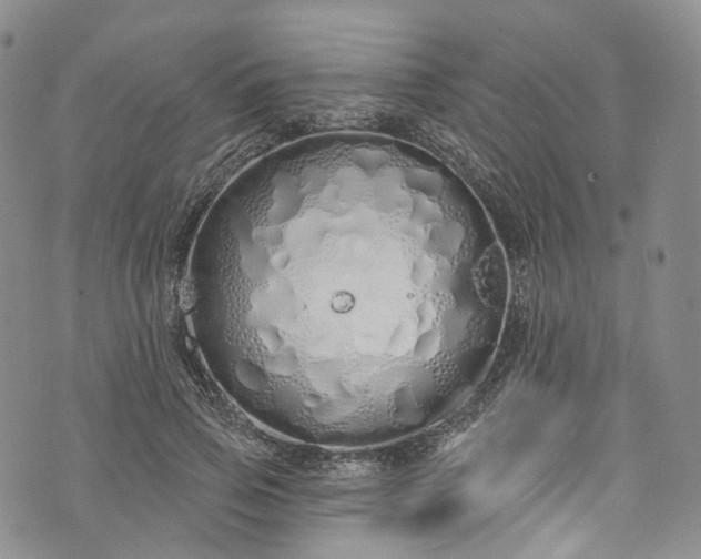 X0000072990741200608041308