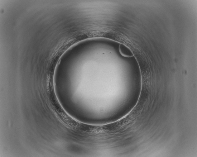 X0000072990742200608041308