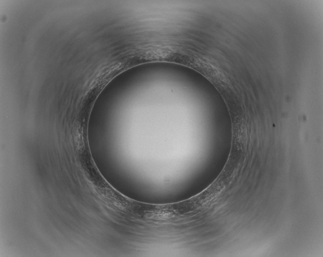 X0000072990743200608041308