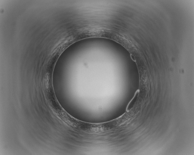 X0000072990744200608041308