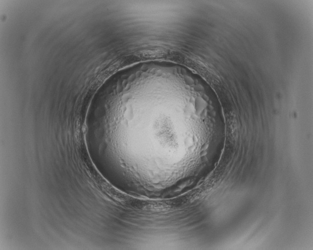 X0000072990745200608041308