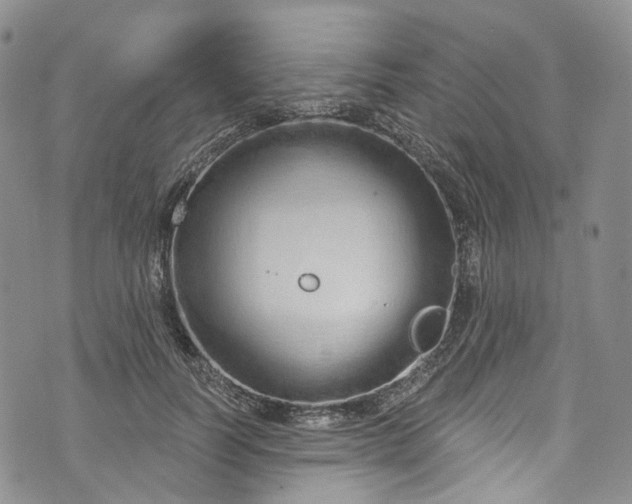 X0000072990746200608041308