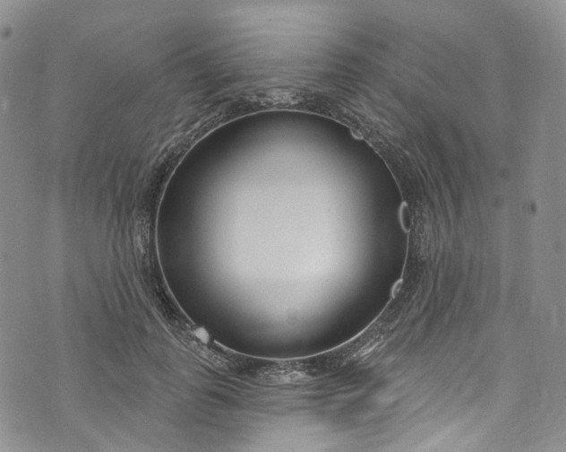 X0000072990747200608041308