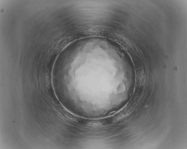 X0000072990749200608041308