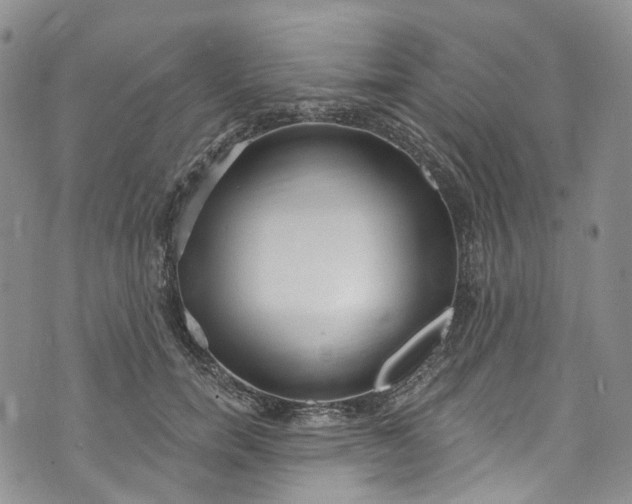 X0000072990750200608041308