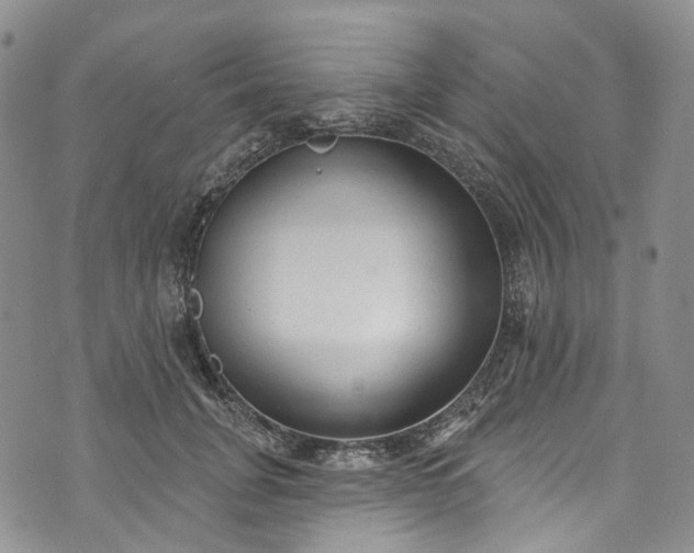 X0000072990751200608041308