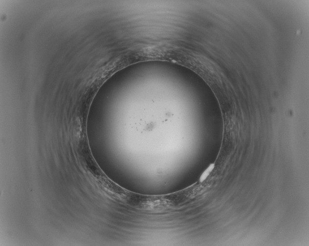 X0000072990752200608041308