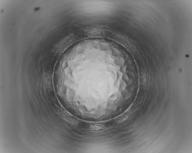 X0000072990753200608041308