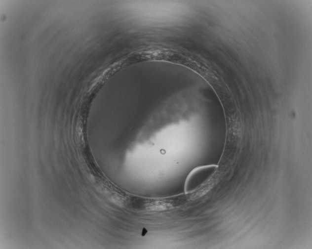 X0000072990754200608041308