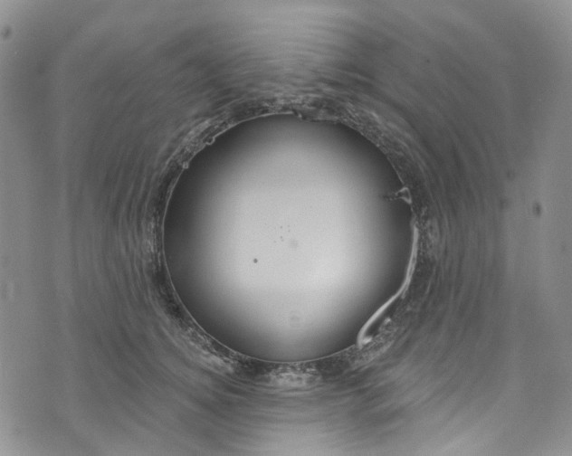 X0000072990756200608041308