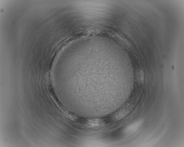 X0000072990757200608041308