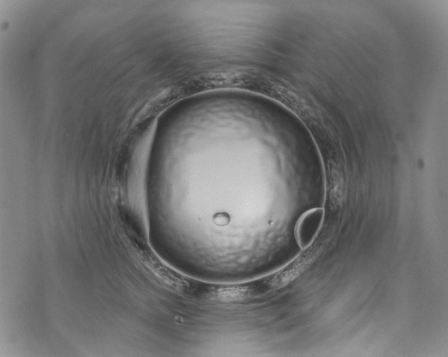 X0000072990758200608041308