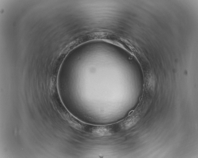 X0000072990759200608041308