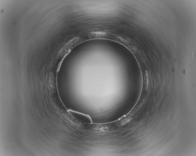 X0000072990760200608041308