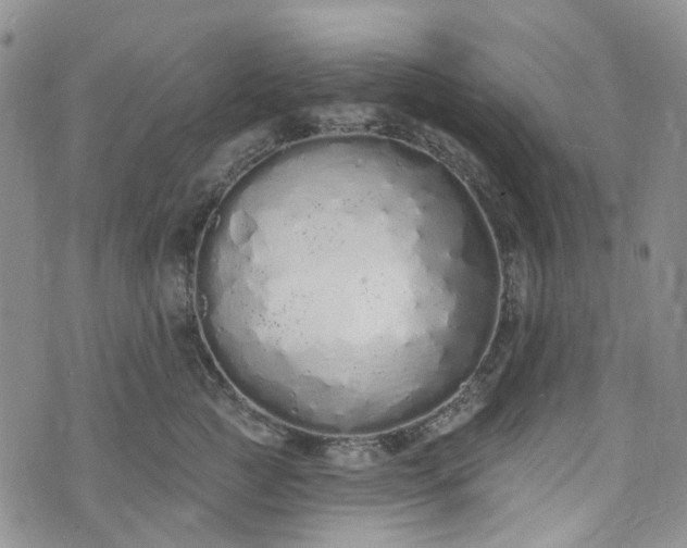 X0000072990761200608041308