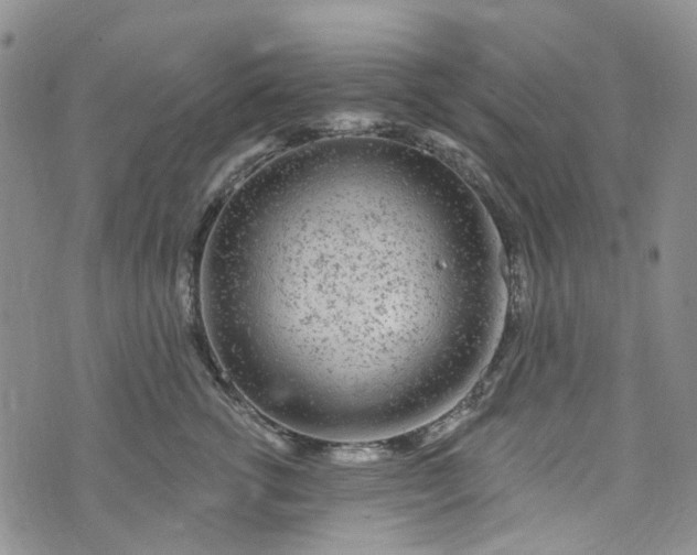 X0000072990762200608041308