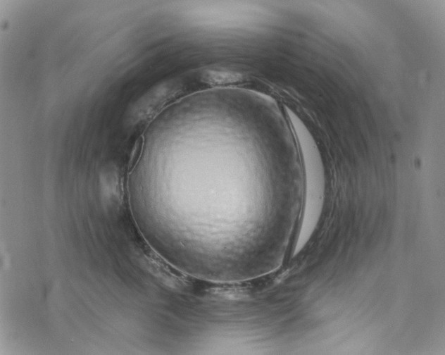 X0000072990763200608041308