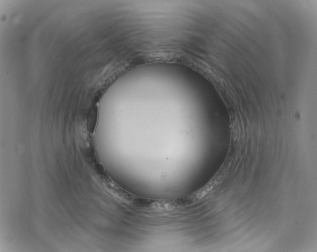 X0000072990764200608041308