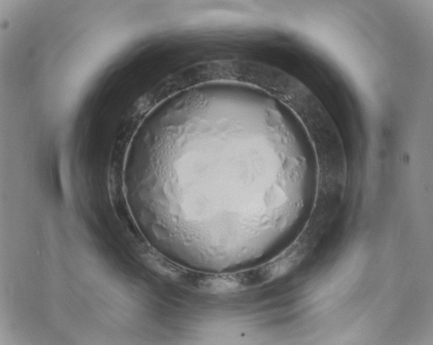 X0000072990765200608041308