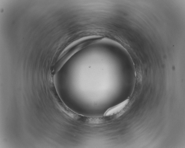 X0000072990766200608041308