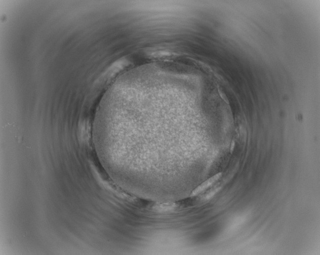 X0000072990767200608041308