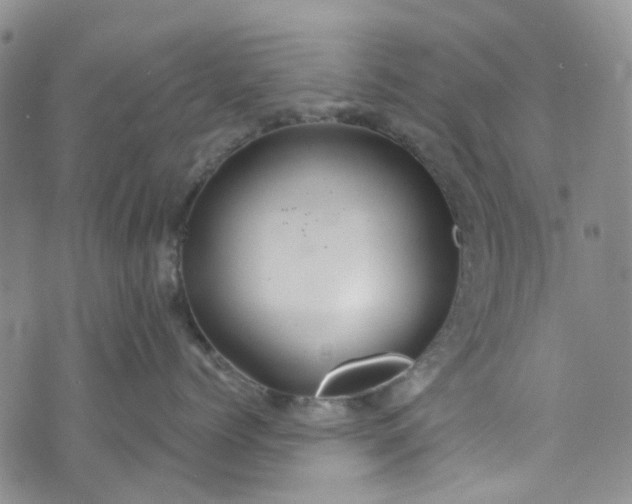 X0000072990768200608041308