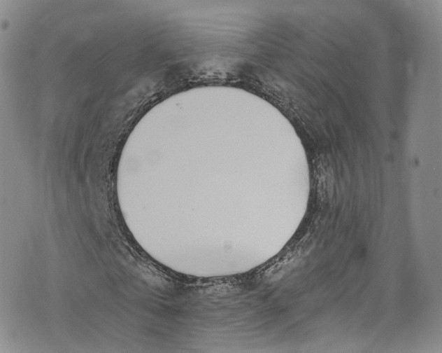 X0000072990769200608041307