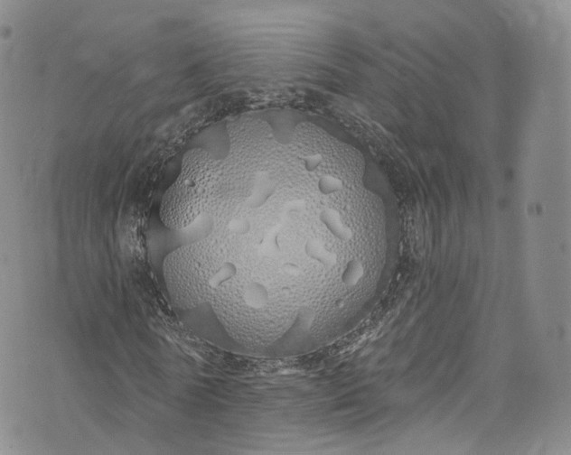 X0000072990770200608041307