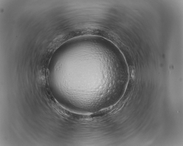 X0000072990771200608041307