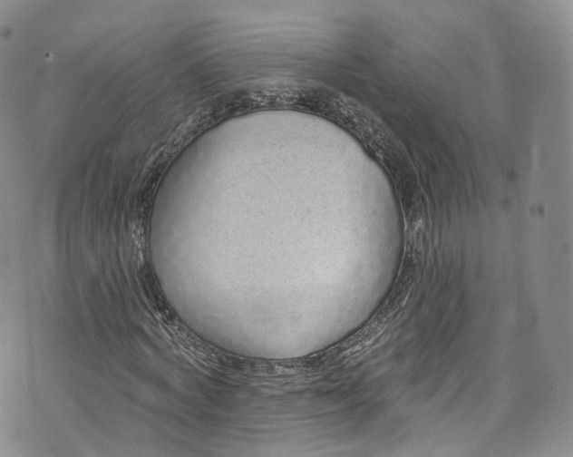 X0000072990772200608041307