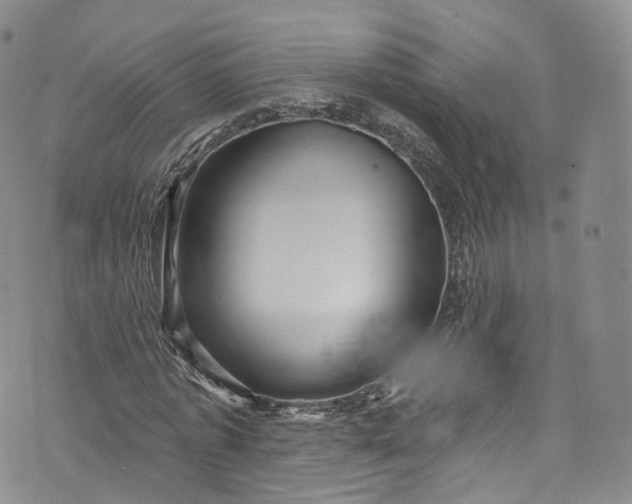 X0000072990773200608041307