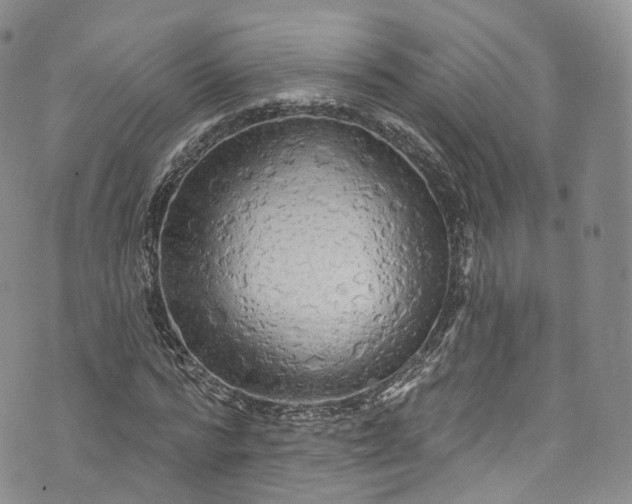 X0000072990776200608041307