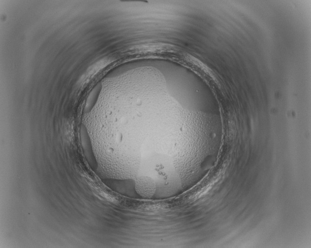 X0000072990778200608041307