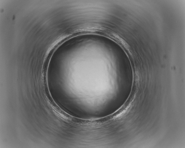 X0000072990779200608041307