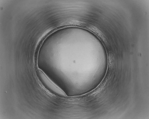 X0000072990780200608041307