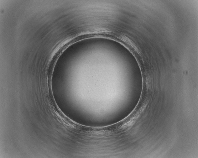 X0000072990781200608041307