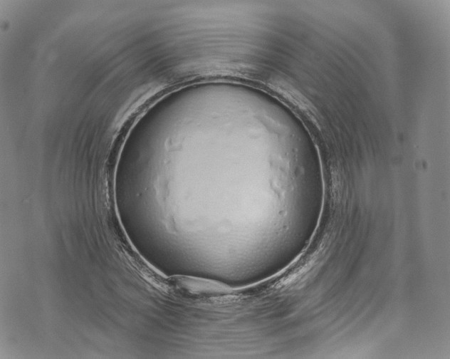 X0000072990782200608041307