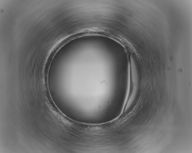 X0000072990784200608041307