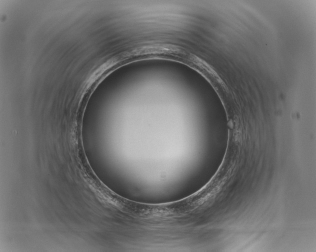 X0000072990786200608041307