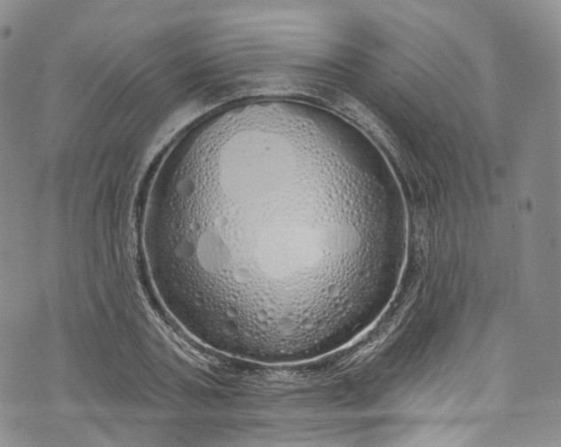 X0000072990787200608041307