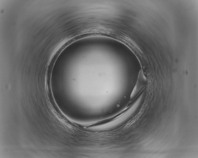 X0000072990788200608041307