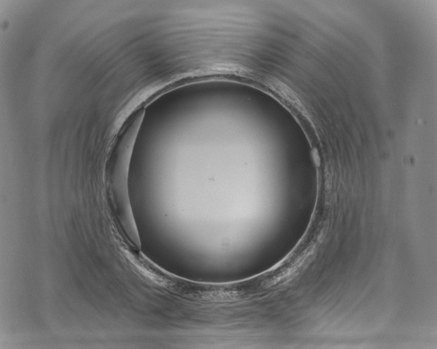 X0000072990789200608041307