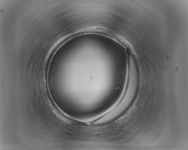 X0000072990792200608041307