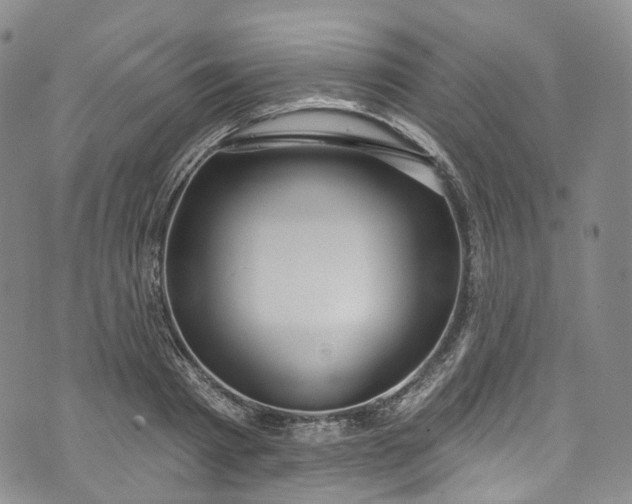 X0000072990793200608041307