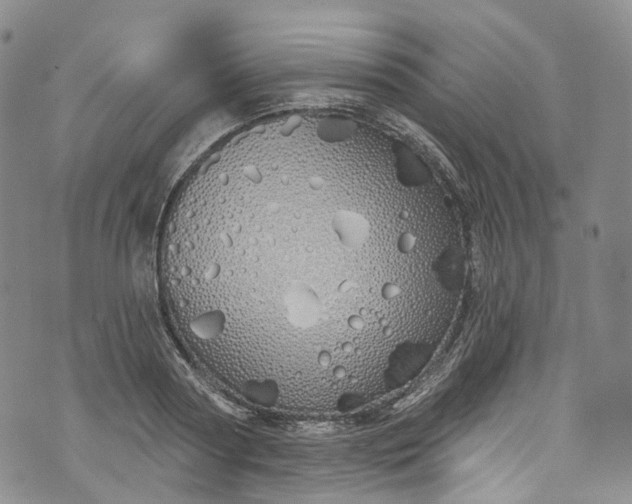 X0000072990794200608041307