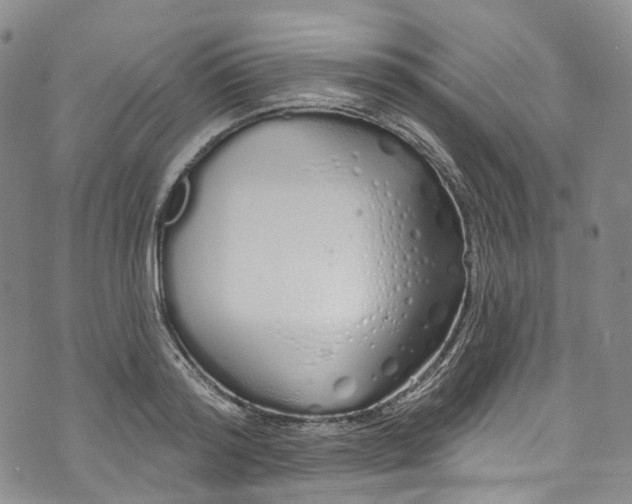 X0000072990796200608041307