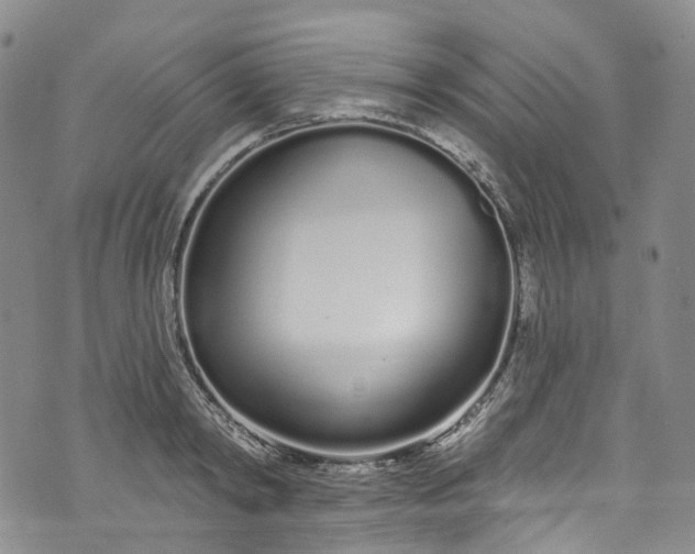 X0000072990798200608041307